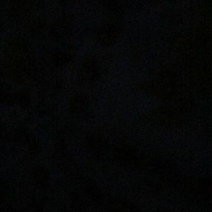 Meet your Posher, Jodi